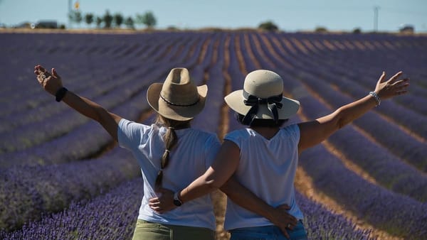 Two people wearing sun hats, hugging and extending arms, enjoying the sight of a lavender field