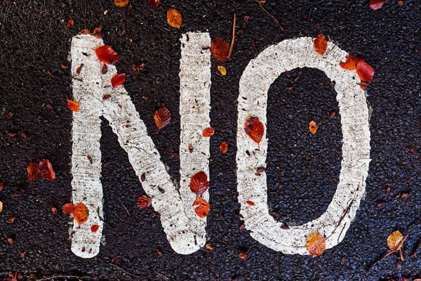 the word NO painted on a driveway in white paint with fallen red leaves on top of it