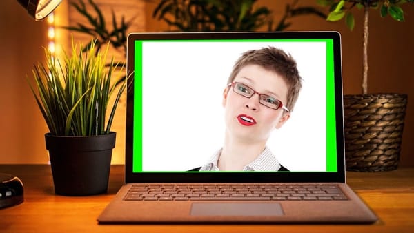 in a glowing laptop screen, a skeptical-looking person raises eyebrows