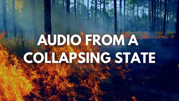 forest fire with the words Audio From a Collapsing State over it